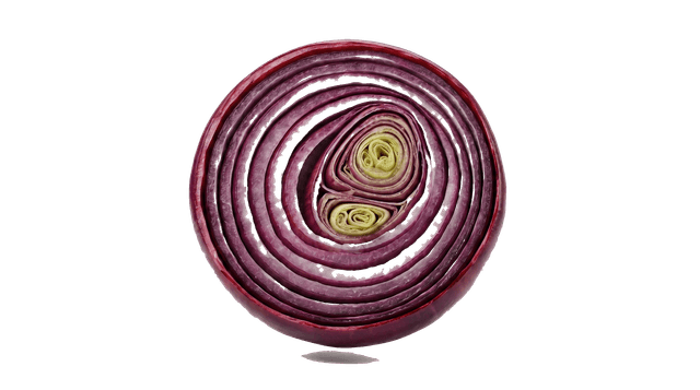 Onion